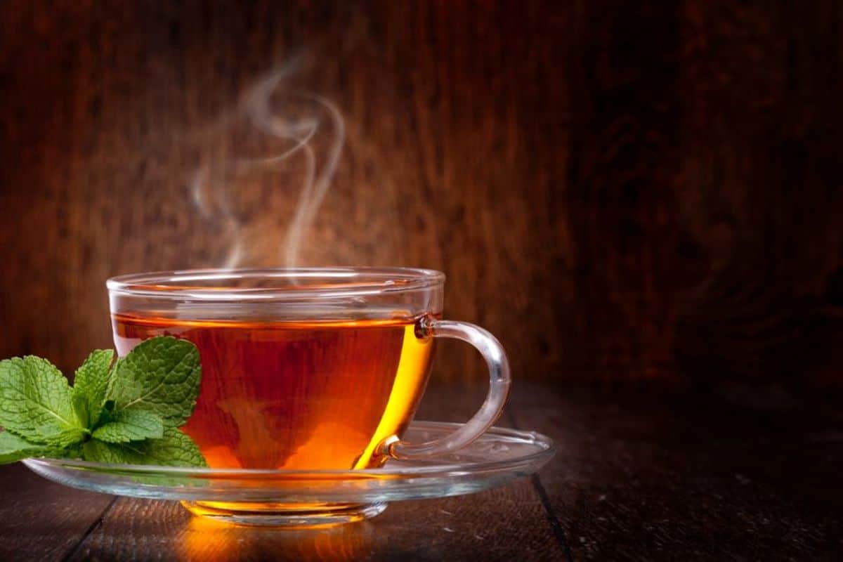 تصویر 3 از خرید چای سیاه لنگر + قیمت فروش استثنایی